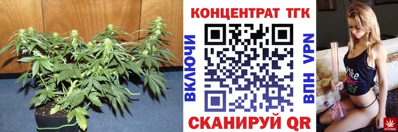 Купить где  Рыбинск  ТГК вейп с тгк 