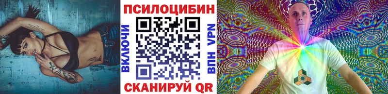 Псилоцибиновые грибы GOLDEN TEACHER  Купить  Рыбинск 